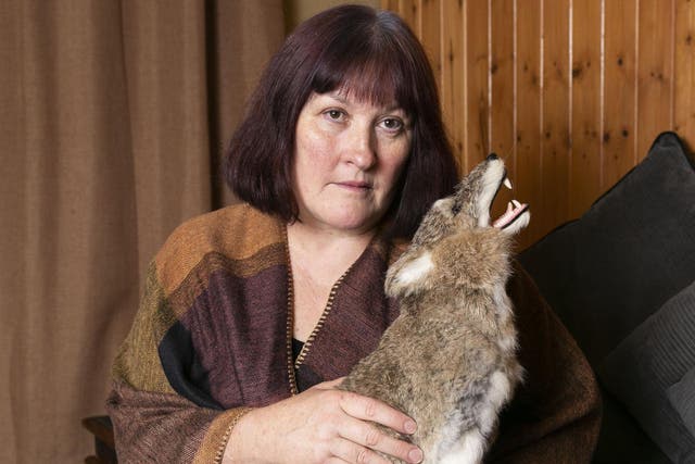 Susan Tate plead guilty to possessing dead animals taken from the wild after a toy wolf (pictured) sparked a police raid
