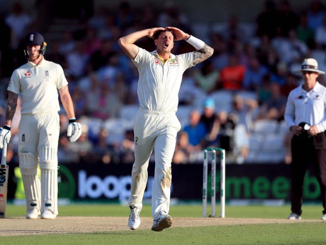 Josh Hazlewood reacts after going close once more