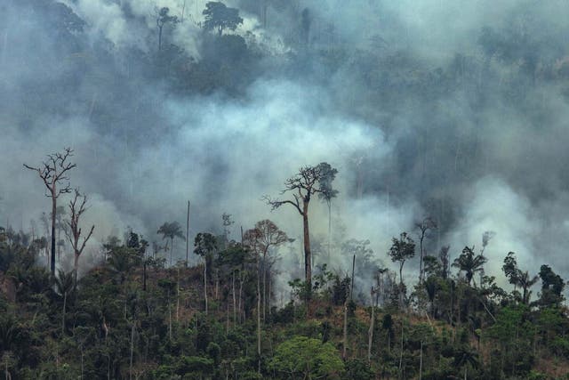 Handout aerial image of smoke billowing from fires in the forest in the Amazon biome in Itaituba, Para State, Brazil, on 23 August 2019.