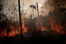 UK donates £10 million to help protect and restore blaze-hit Amazon