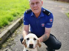 First aid volunteer uses CPR to save ‘beloved’ pet dog