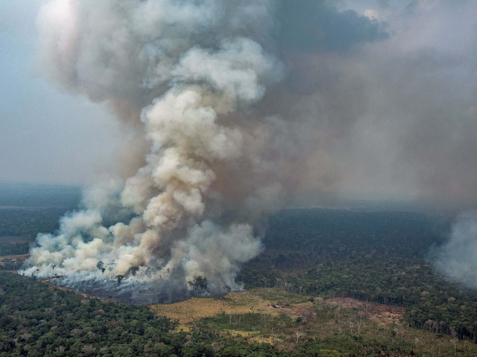 Amazon fires G7 nations must do more than give spare change The Independent