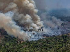 Brazil sends warplanes to dump water on Amazon fires