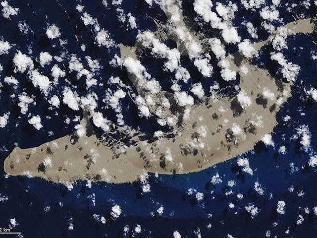 Although the pumice (pictured from space) is currently bare, organisms such as crabs and corals, will start growing on it in the coming weeks