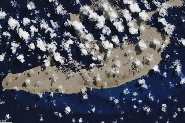 Although the pumice (pictured from space) is currently bare, organisms such as crabs and corals, will start growing on it in the coming weeks
