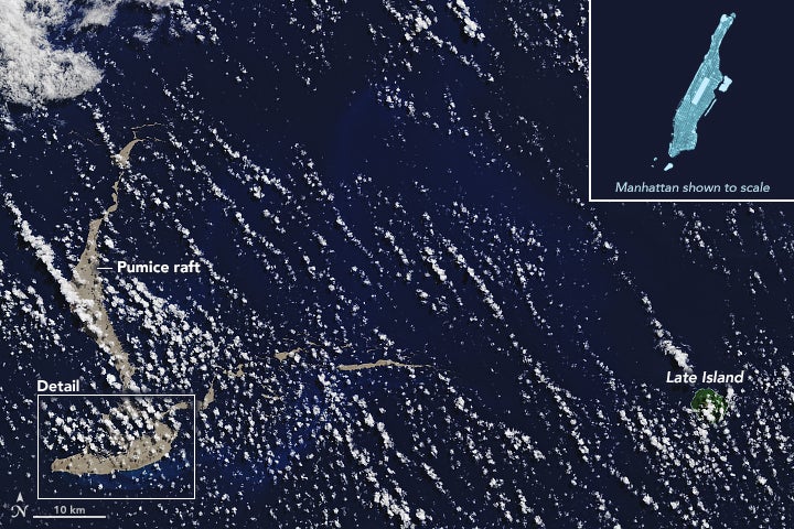 The pumice – which forms when molten rocks cool rapidly -–comes from a volcano that probably erupted on 7 August. Pictured is a Nasa image of the raft