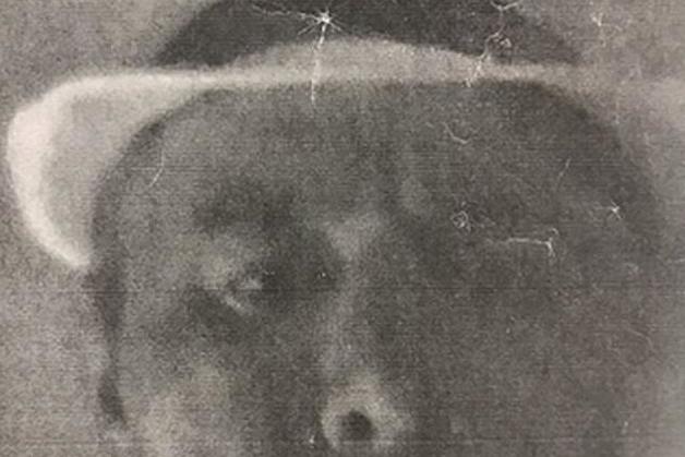 Toronto police release a grainy photocopy image of a suspect they said broke into a commercial property in Canada.