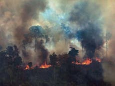 The Amazon is burning because of Bolivia, not Brazil