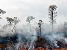 Trump praises Bolsonaro despite Brazil rejecting aid for wildfires