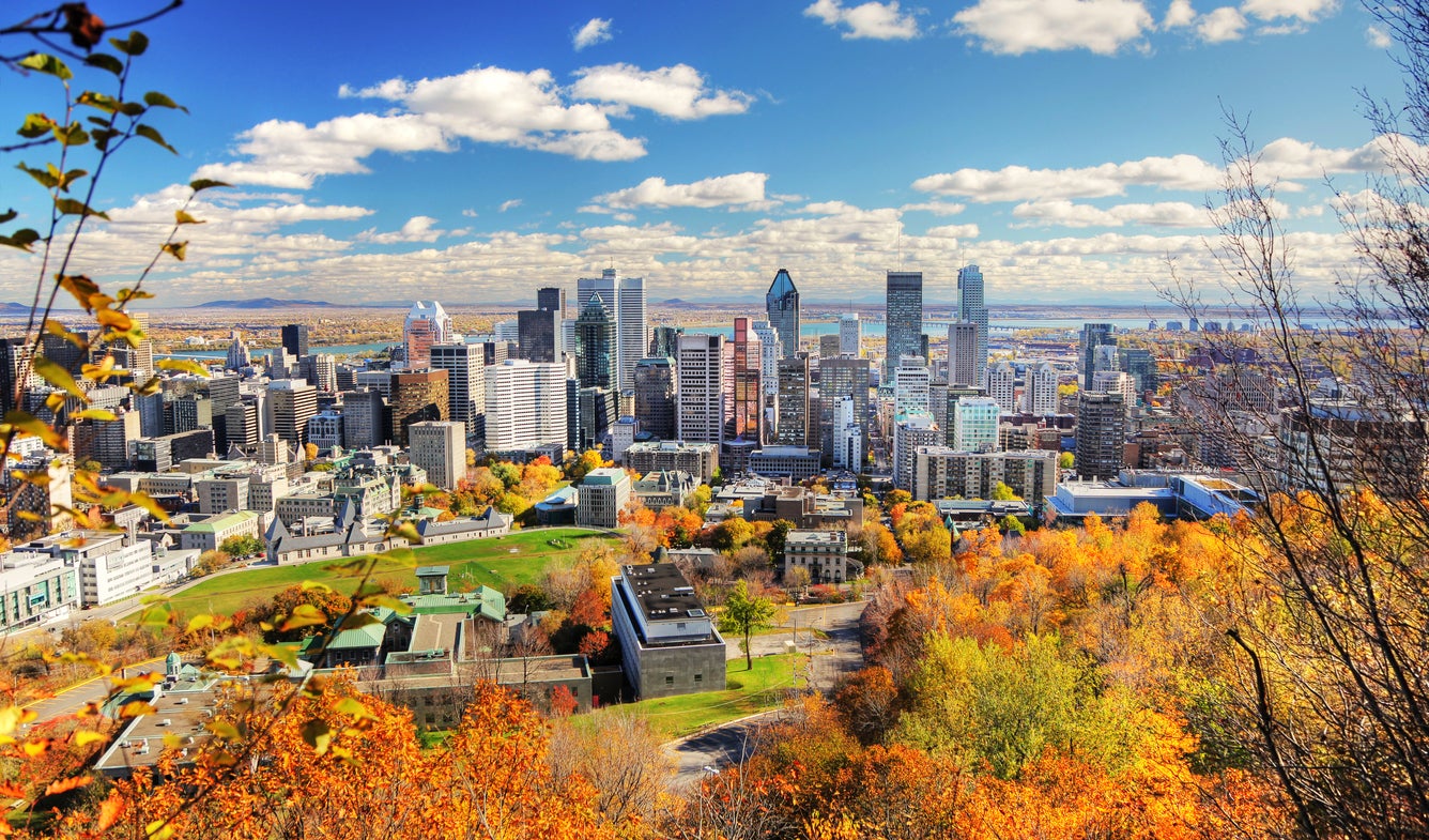 Watch the leaves change colour in Montreal (Getty/iStock)