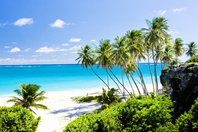 Christmas in Barbados? Yes please...