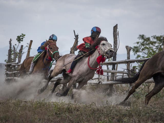 Child jockeys compete in a traditional horse race as part of Moyo festival on Sumbawa in 2015