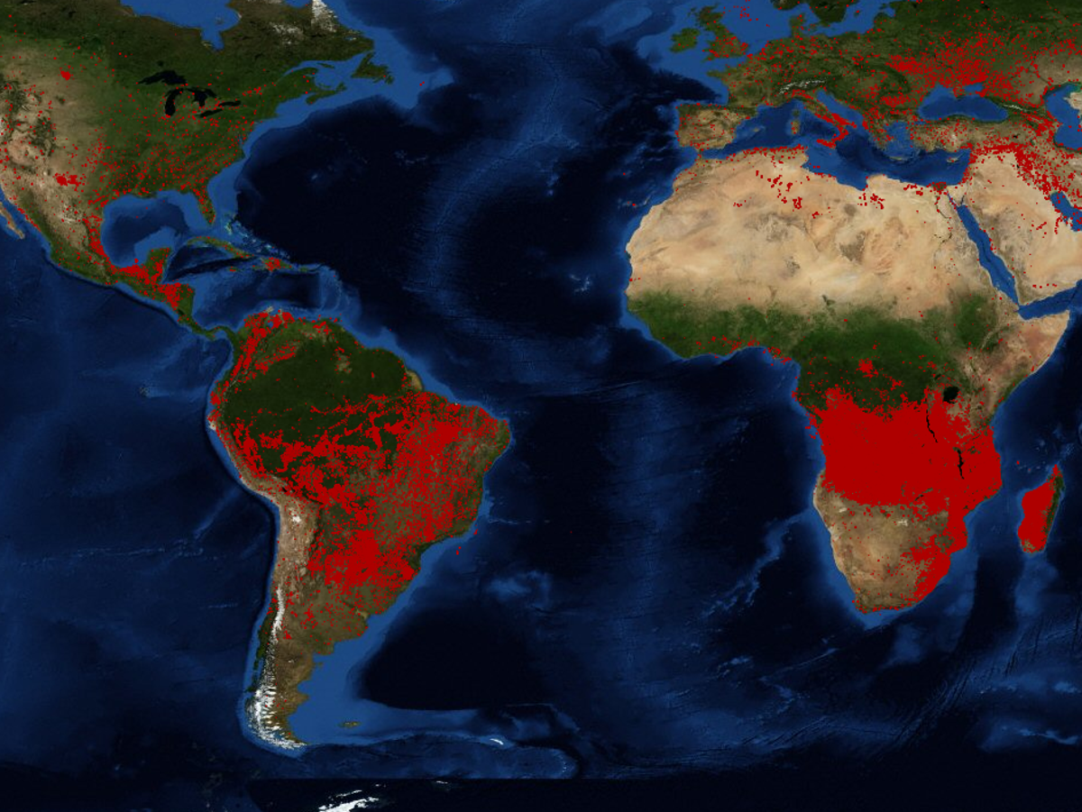 Climate crisis: More fires burning across central Africa than Amazon as global deforestation rates approach record high