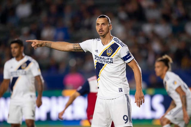 Zlatan Ibrahimovic believes he would still be a success in the Premier League