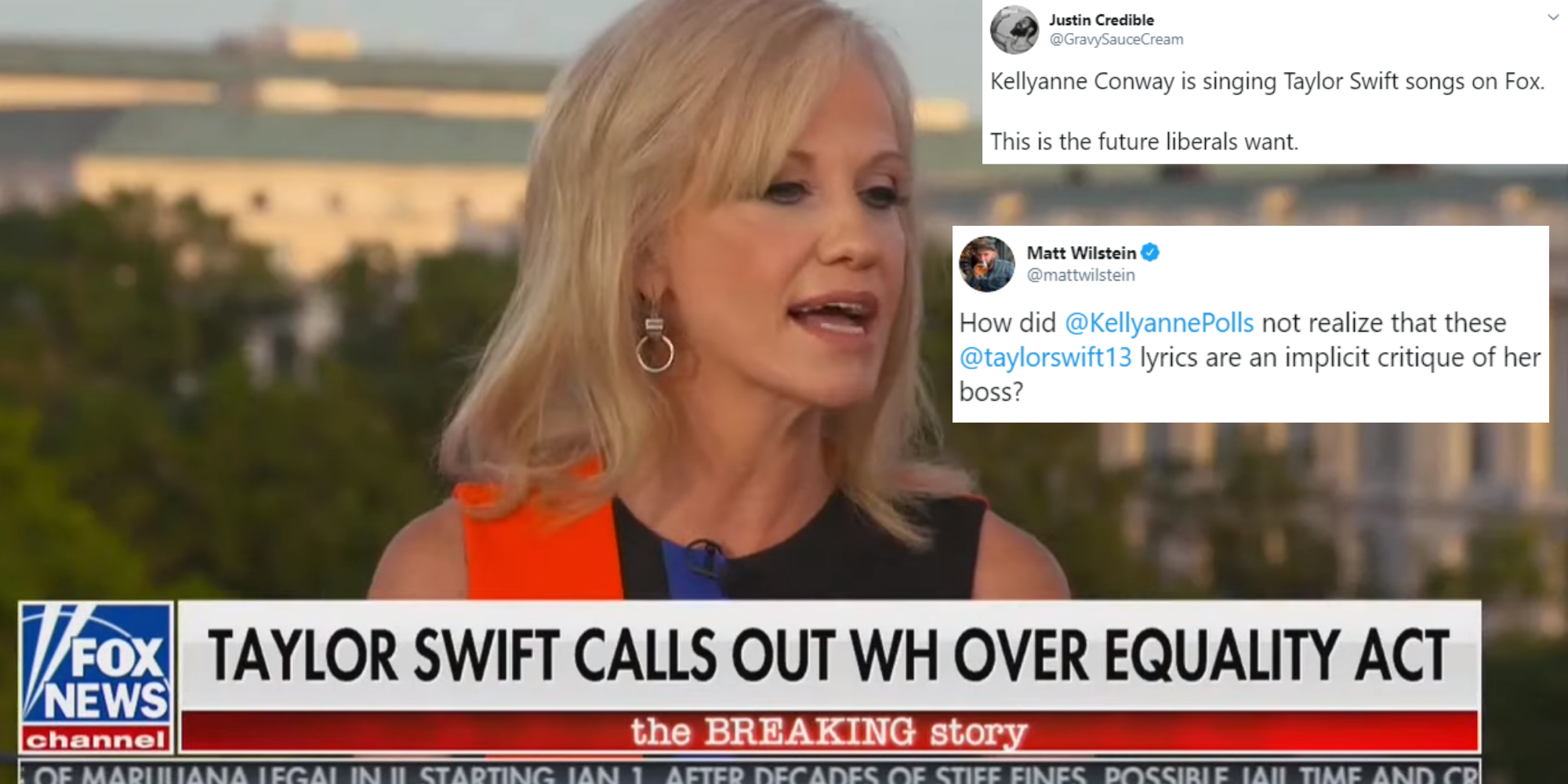 Kellyanne Conway Trump Aide Mocks President By Singing