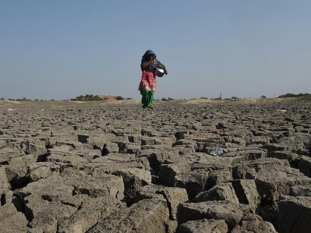 A woman walks over the parched bed of Chandola Lake in Ahmedabad