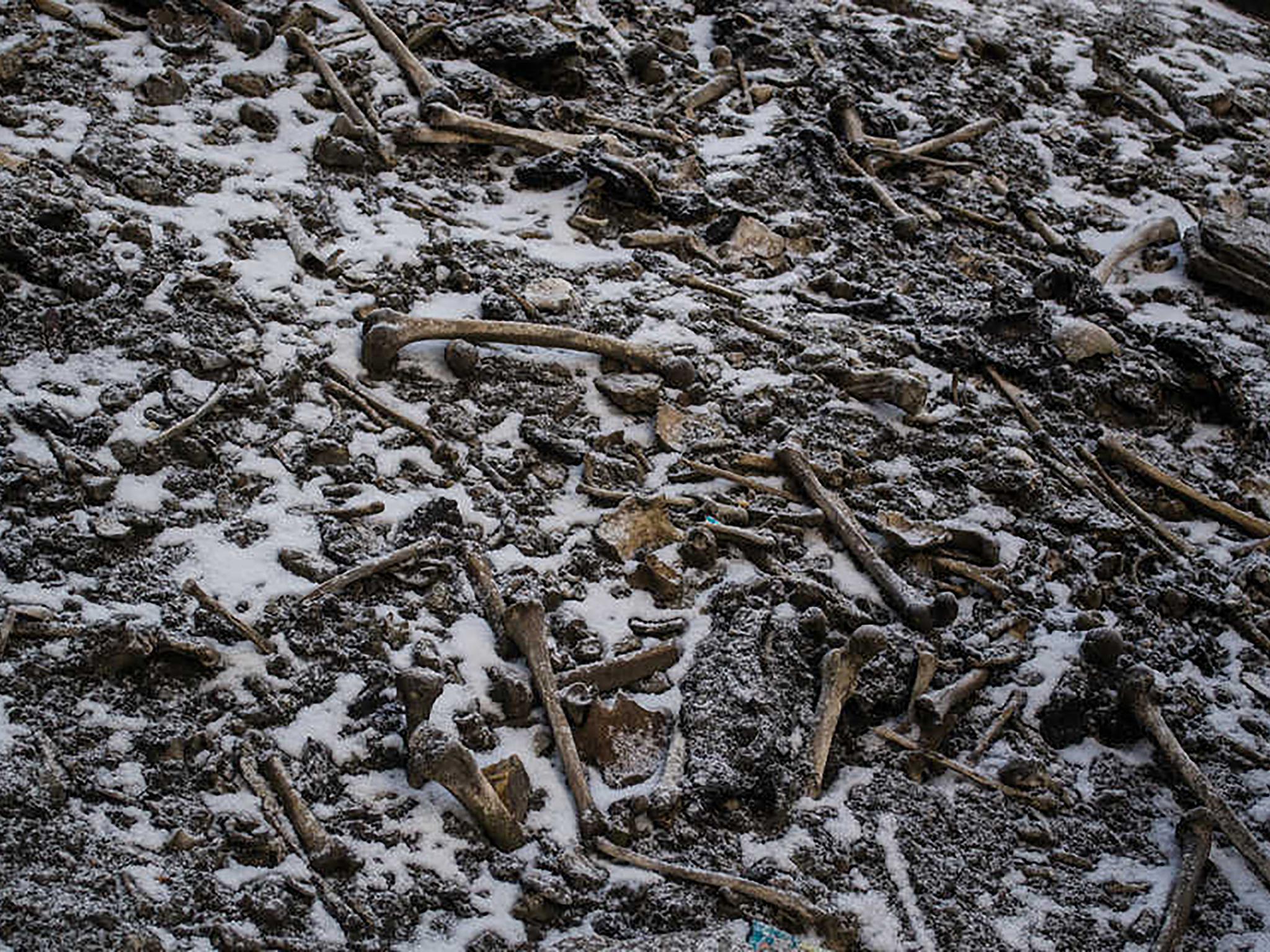 Among the skeletons were 23 males and 15 females