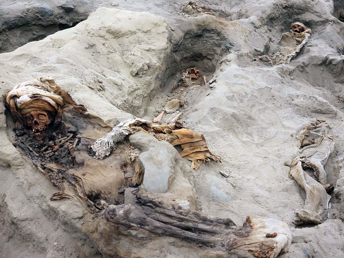 Exclusive: Ancient Mass Child Sacrifice in Peru May Be World's Largest