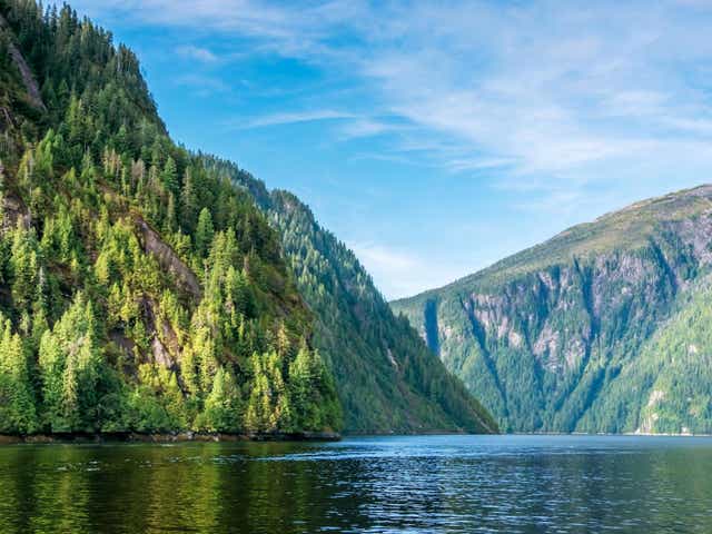 Trump is attempting to strip the Tongass National Forest of rules brought in 20 years ago designed to protect it from harmful human activity