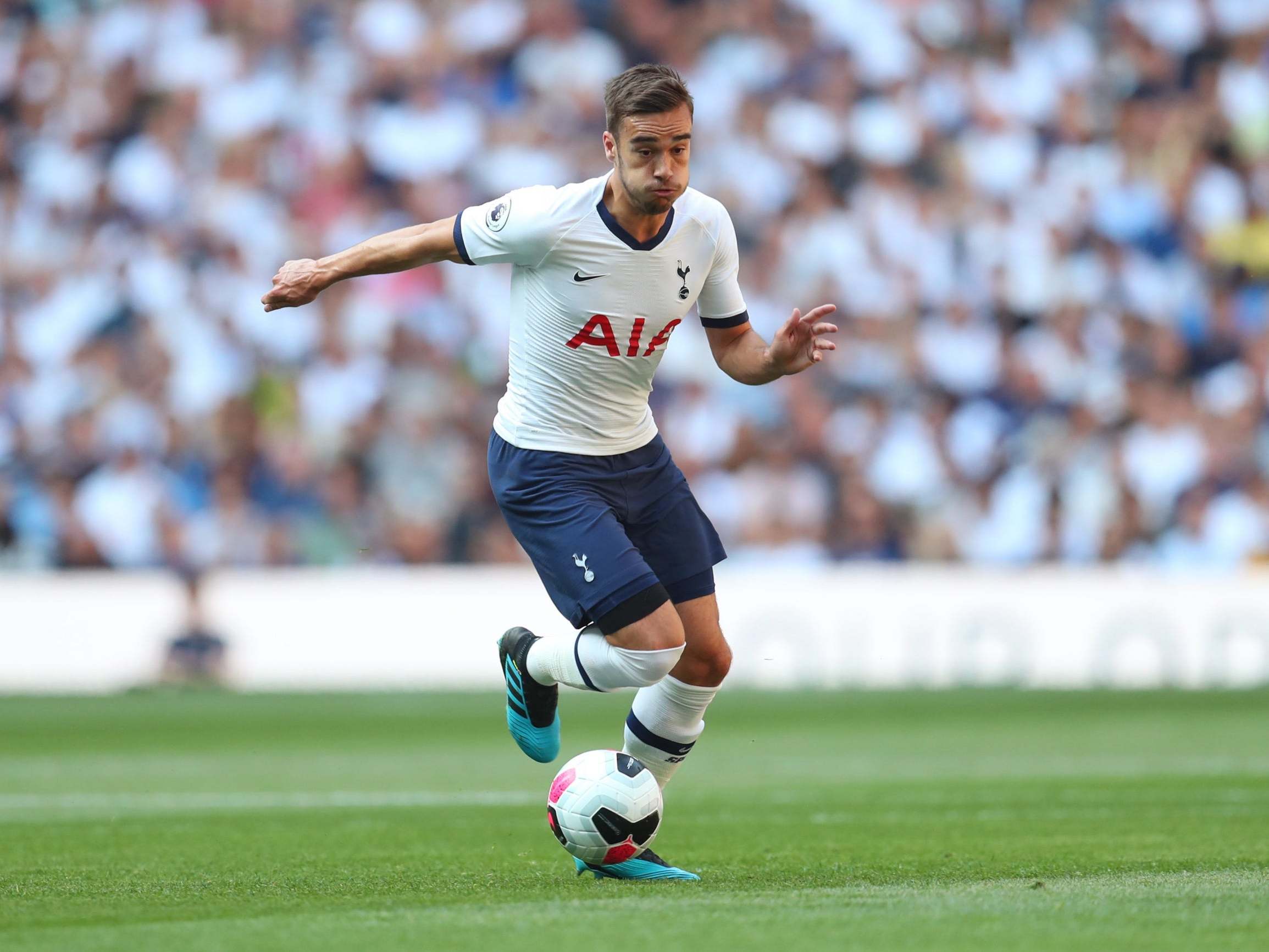 Harry Winks of Tottenham Hotspur
