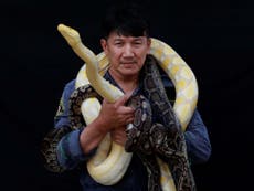 The Bangkok firefighter taking on snakes with his bare hands