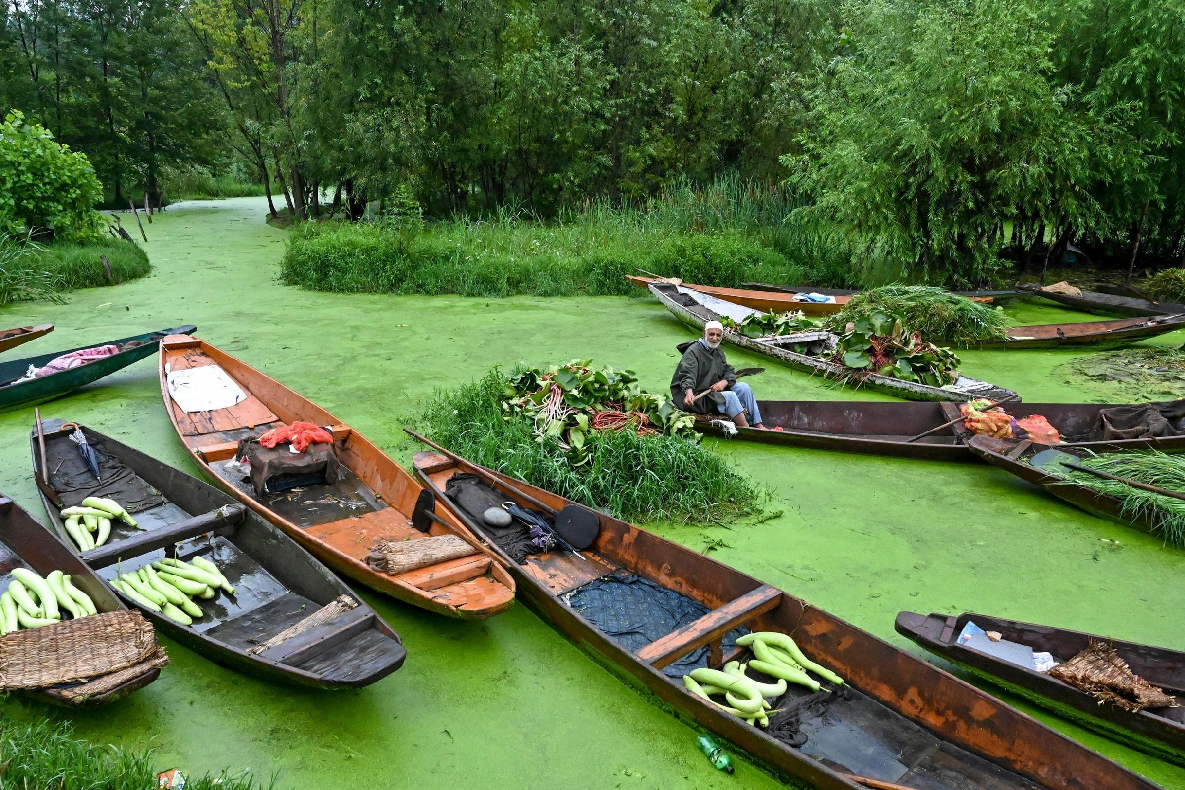 A man sells food and vegetables on a boat at the Dal Lake during a lockdown in Srinagar (AFP/Getty)