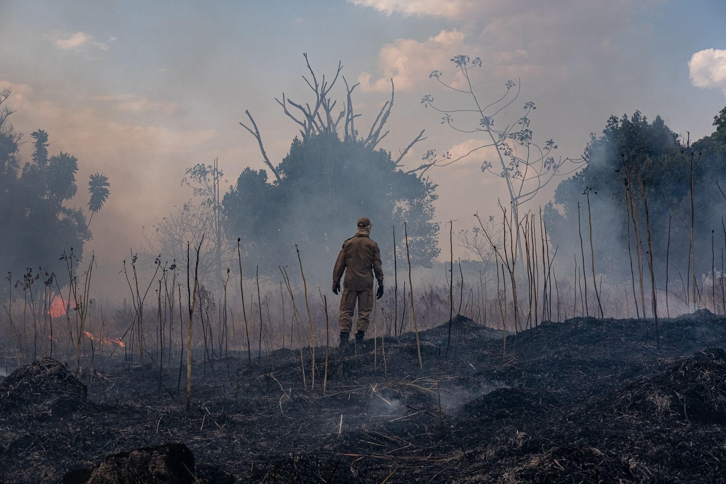 A firefighter combats a fire in the Amazon basin in the municipality Sorriso, Brazil
