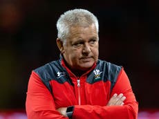 Wales reveal World Cup squad with Evans and Lee omitted
