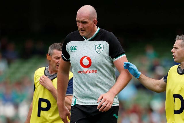 Veteran lock Devin Toner has been left out of the Ireland squad for the Rugby World Cup