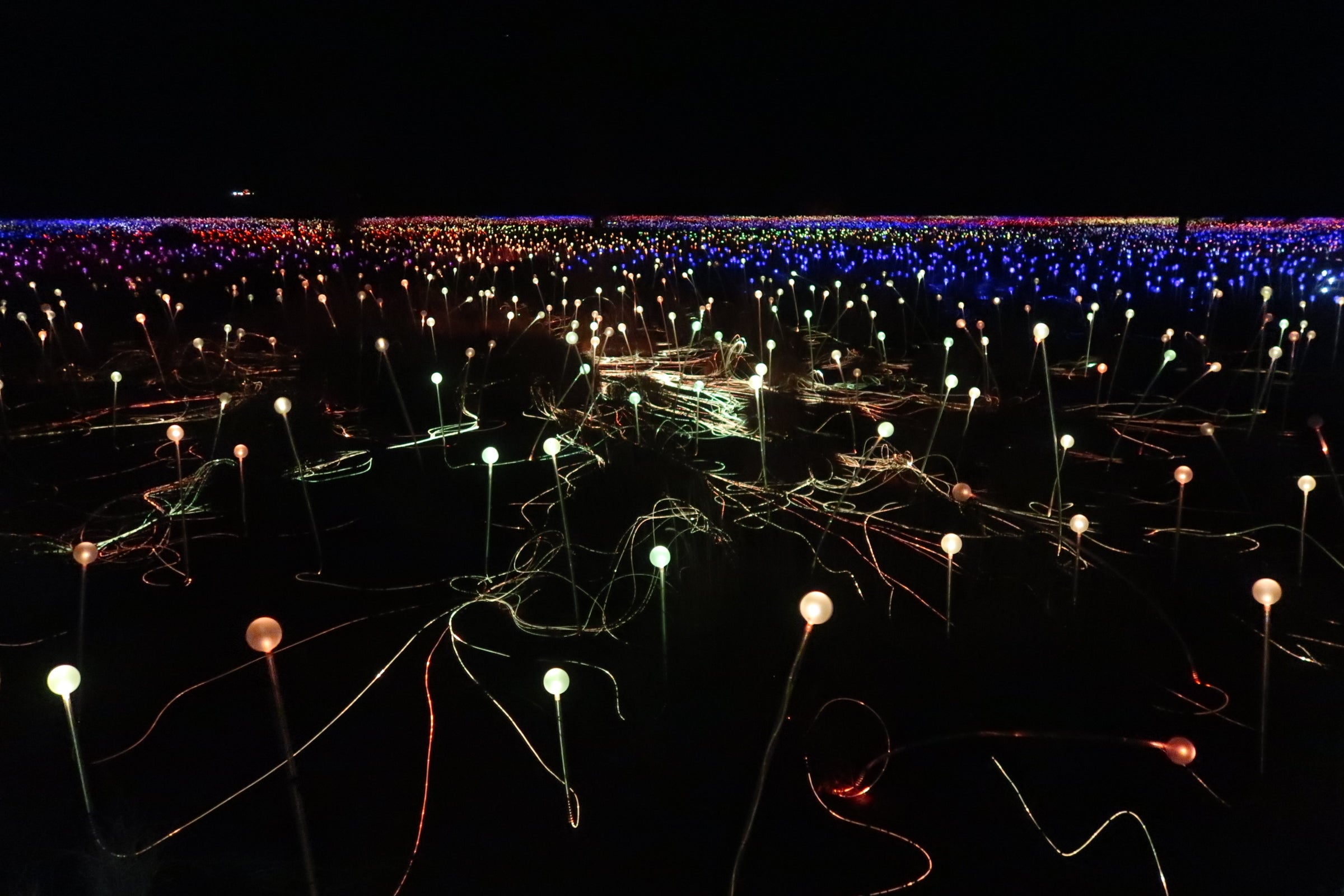 Bruce Munro’s Field of Light installation
