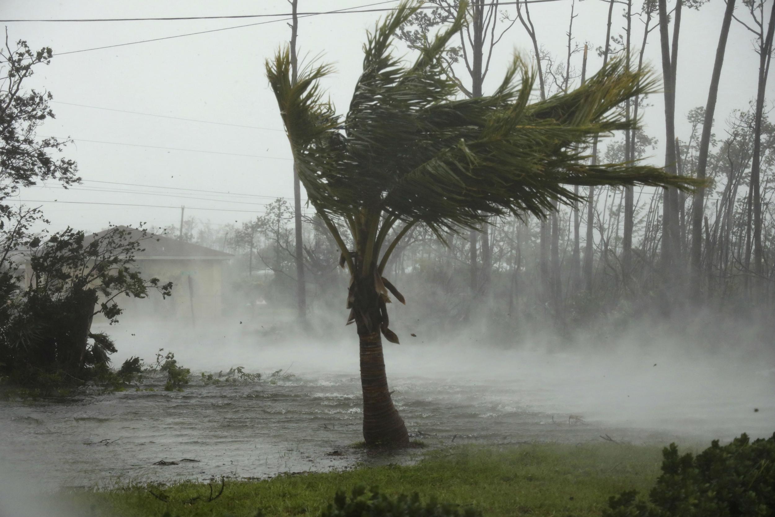 Hurricane Dorian Extremely Dangerous Storm Kills Five In - 