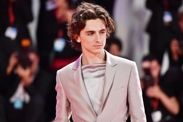 Timothée Chalamet, star of Lady Bird and Beautiful Boy, at the Venice Film Festival in September 2019