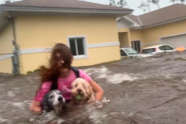 Julia Aylen wades through water carrying her dogs after her home in Freeport, Bahamas, was flooded by Hurricane Dorian