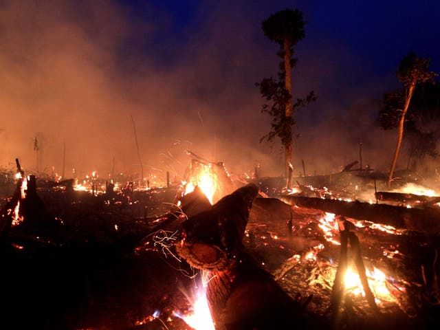 A fire burns a tract of Amazon jungle as it is cleared by a farmer.