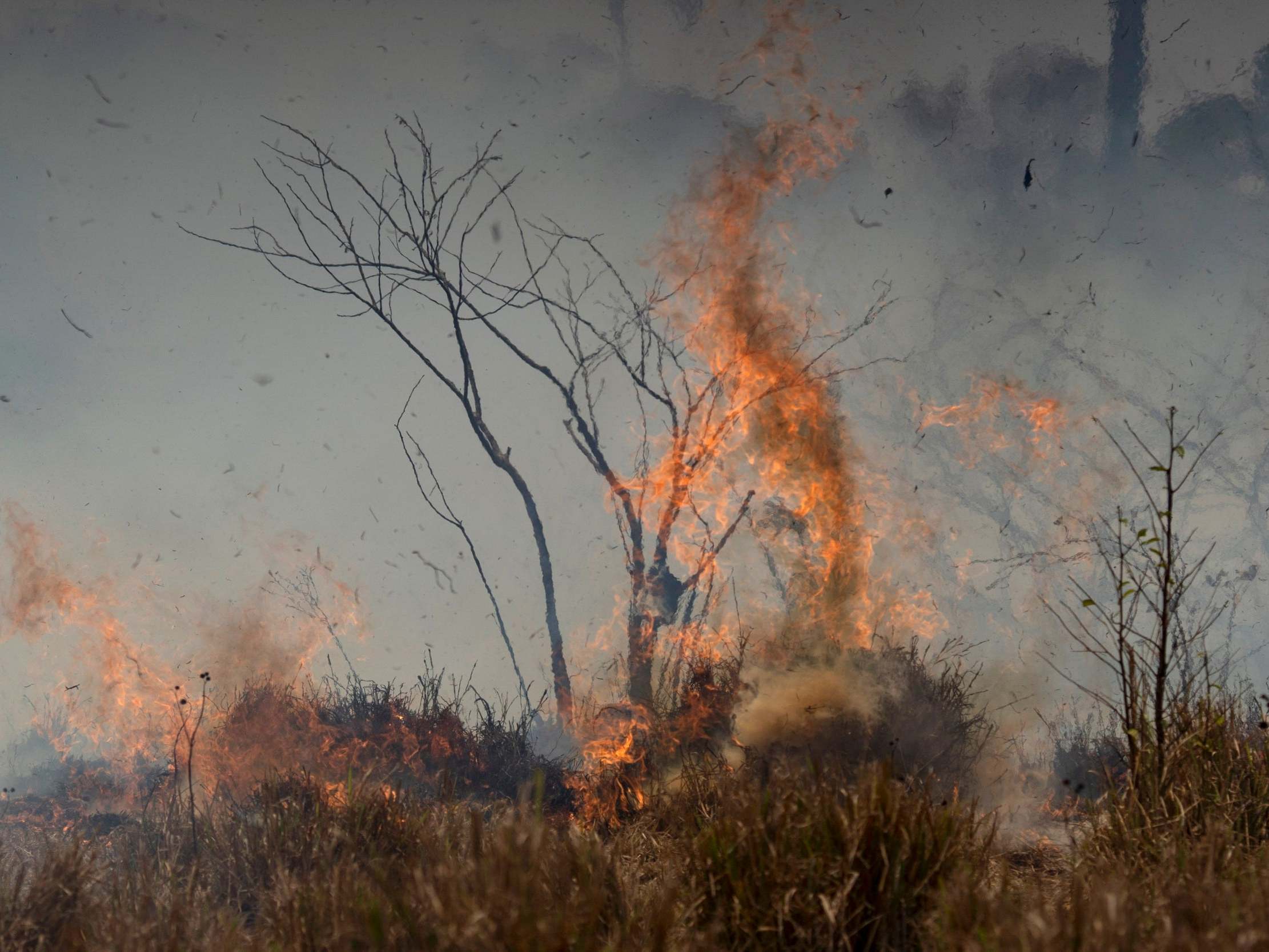Fire consumes brush at the Nova Fronteira region in Novo Progresso, Brazil