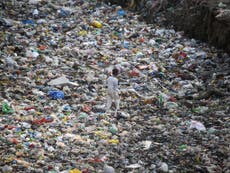Modern era dubbed ‘the Plastic Age’ as pollution infests fossil record