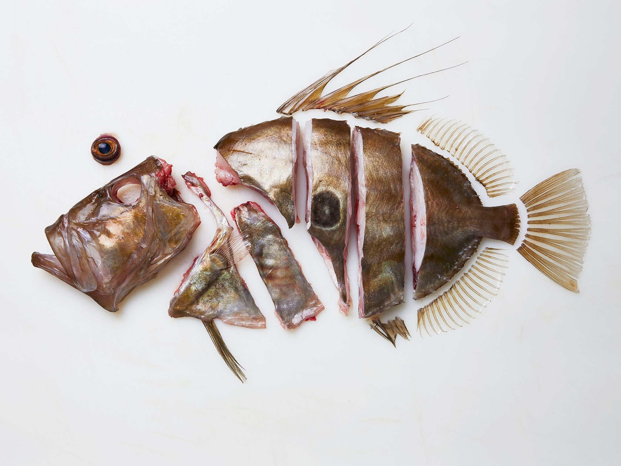 Chef Niland shows how to make the most of a John Dory