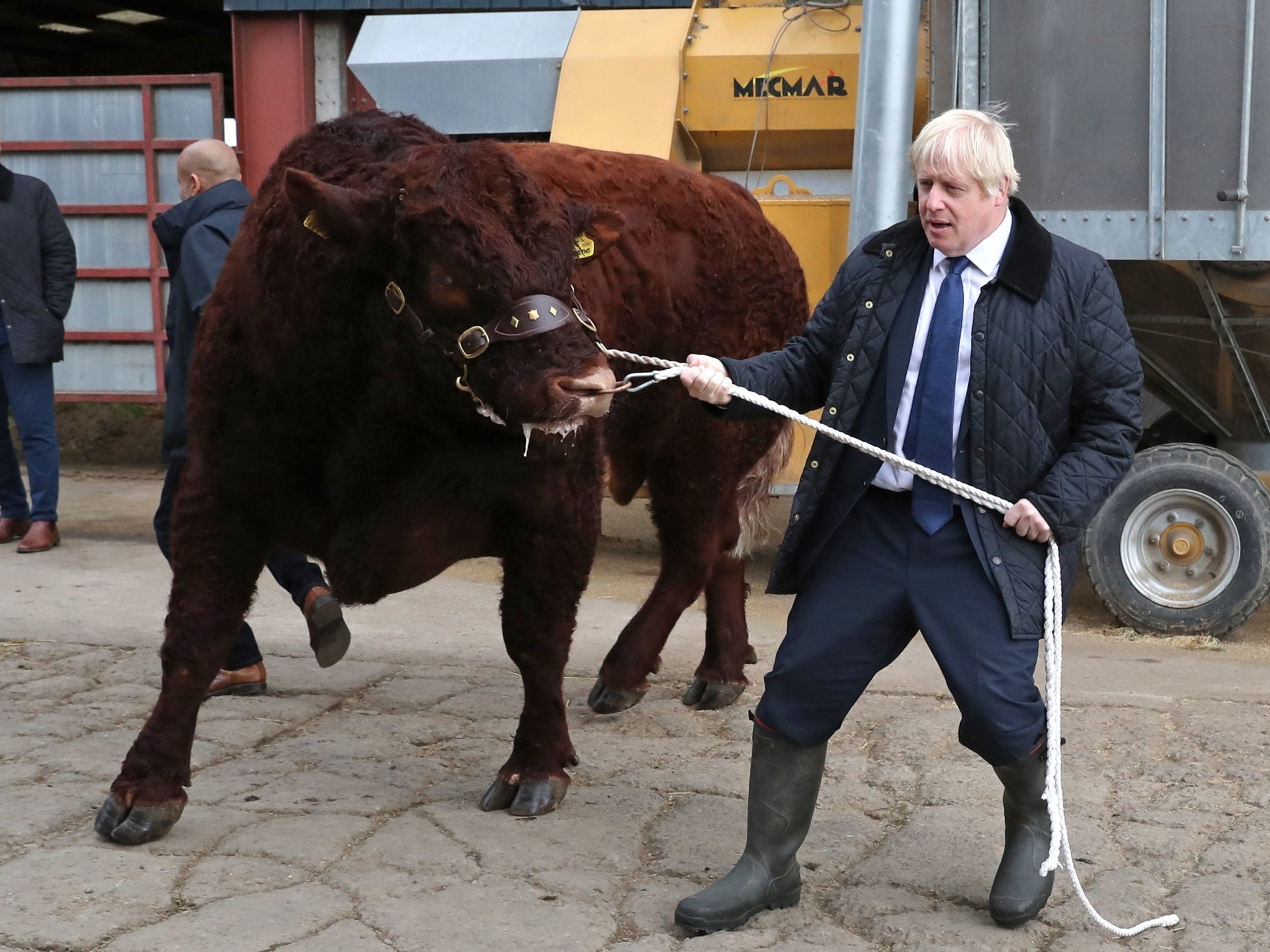 Boris Johnson trying to manage a bull at a farm near Aberdeen.
