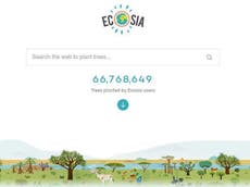 Ecosia: Could a search engine really help save the Amazon?