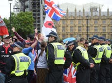 Pro and anti-Brexit protesters clash outside parliament