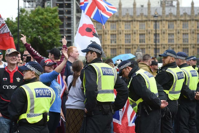 Pro-Brexit protesters outside the Houses of Parliament in Westminster