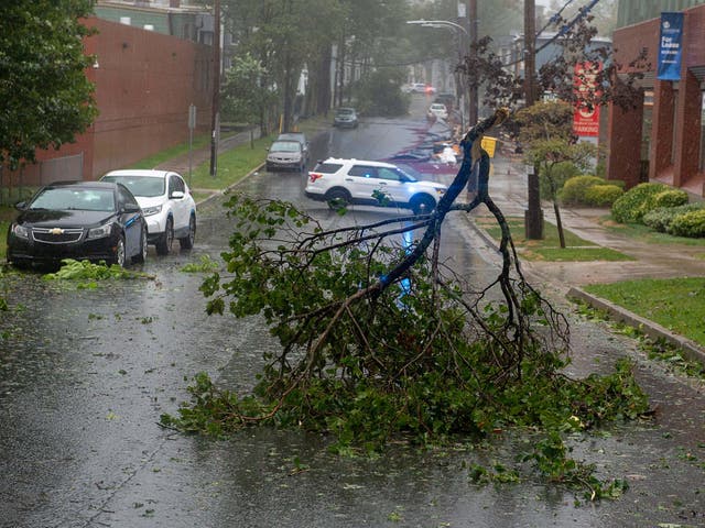 Tree branches block a street in Halifax, Nova Scotia