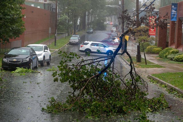 Tree branches block a street in Halifax, Nova Scotia