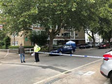 Woman knifed to death is one of three killed in London within 12 hours