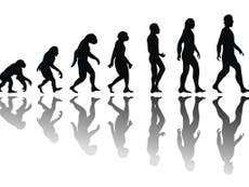 Motion sickness dates back to the first creatures to walk on land