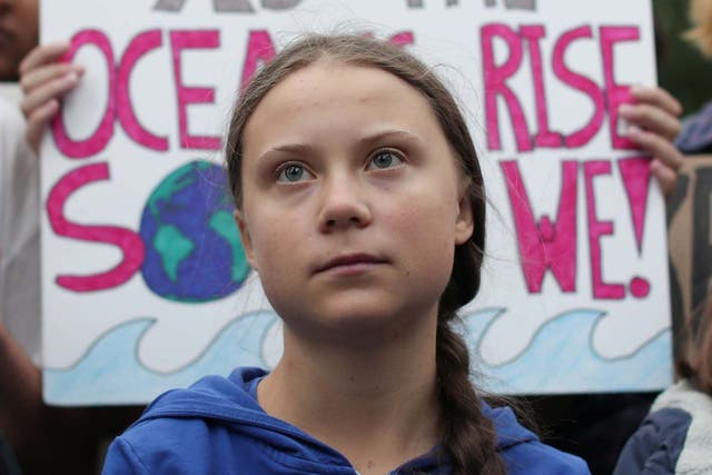 Greta Thunberg says Trump 'obviously doesn't listen to science' on climate change