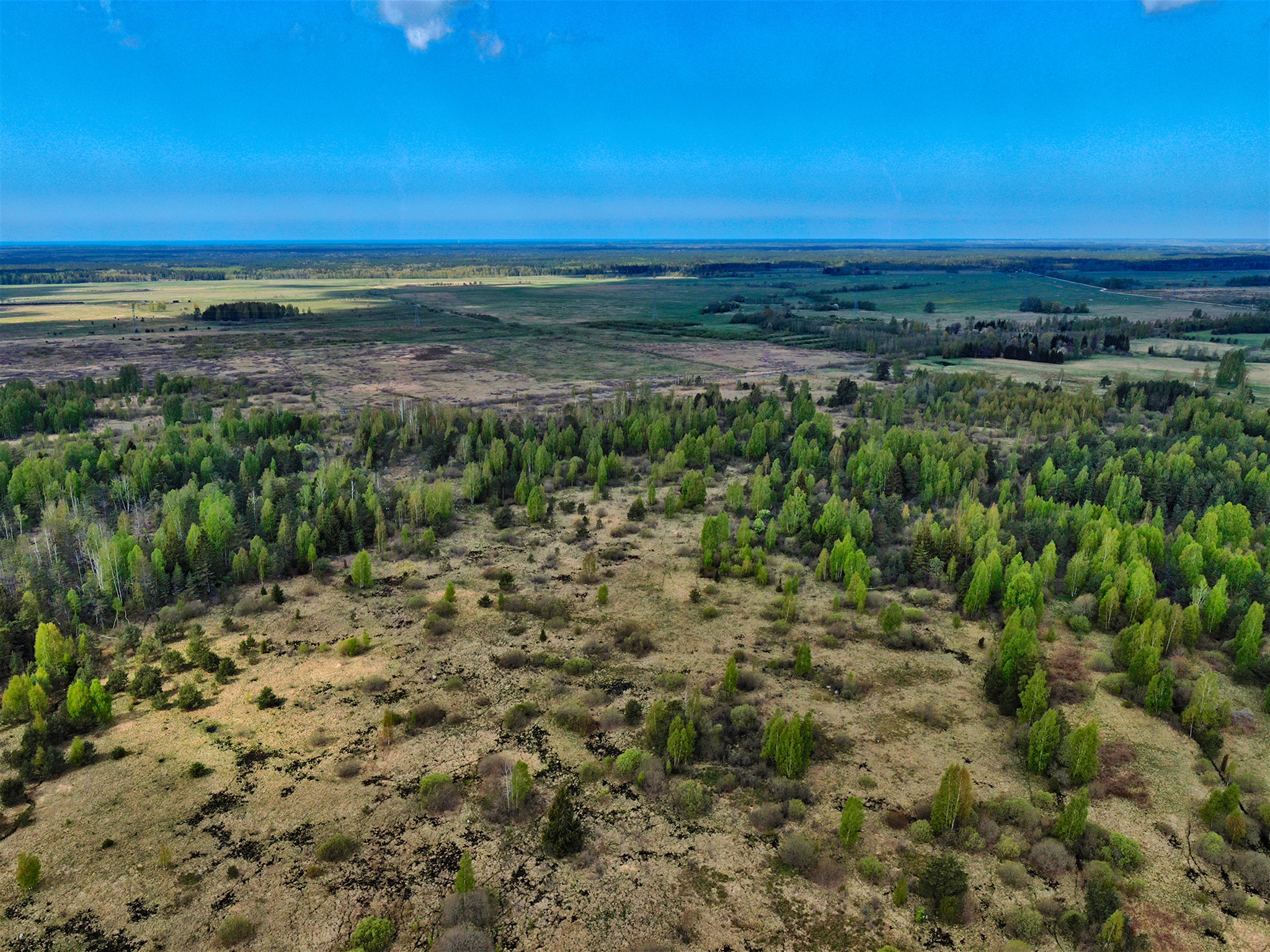 The cycling route from Tallinn in Estonia to Riga in Latvia passes some very pungent dill meadows