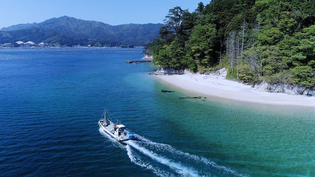 Yamada Bay has regained its stunning surroundings after being destroyed by the 2011 disaster