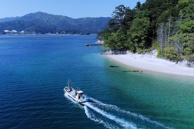 Yamada Bay has regained its stunning surroundings after being destroyed by the 2011 disaster