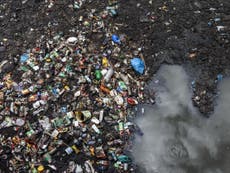 Microplastics stunt growth of worms, study finds
